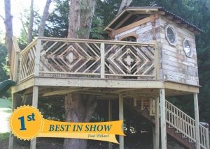 Willard_tree house_BEST IN SHOW