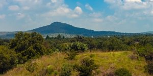 Landscape Mexico Stock 1 0