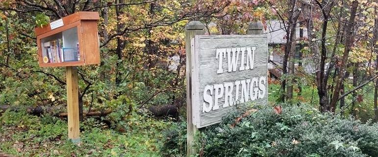 Lfl Twin Springs2