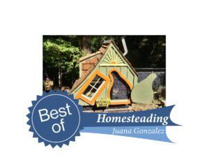 Juana Gonzalez's winning entry in Homesteading. A chicken coop made from secondhand materials and miss-mixed paint.